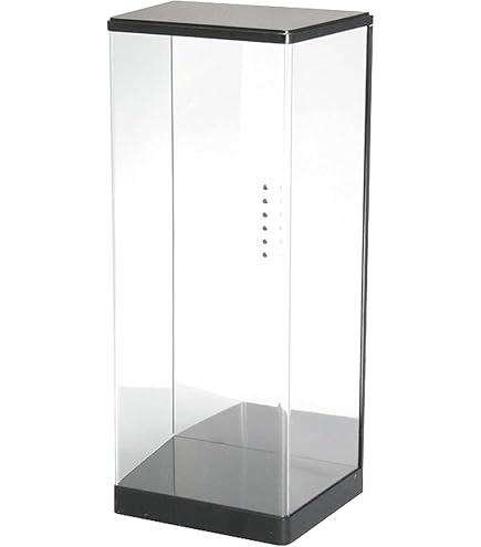 Amazon.co.jp: ウェーブ ディスプレイ T・ケース (DL) 1/6ドール対応